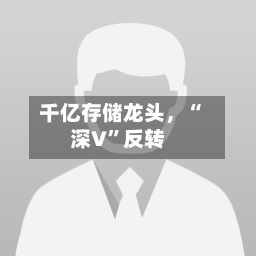 千亿存储龙头	，“深V”反转-第3张图片