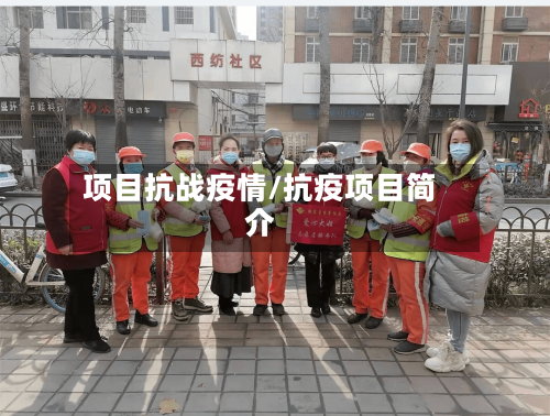 项目抗战疫情/抗疫项目简介