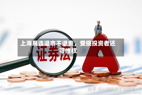 上海易连退市不退责，受损投资者还可维权-第3张图片