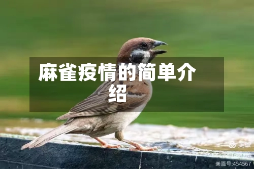 麻雀疫情的简单介绍