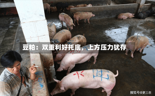 豆粕：双重利好托底，上方压力犹存-第2张图片