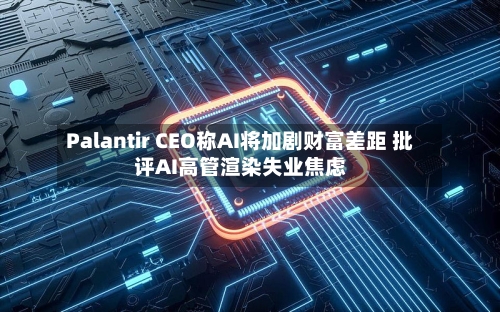 Palantir CEO称AI将加剧财富差距 批评AI高管渲染失业焦虑