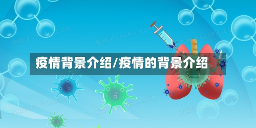 疫情背景介绍/疫情的背景介绍