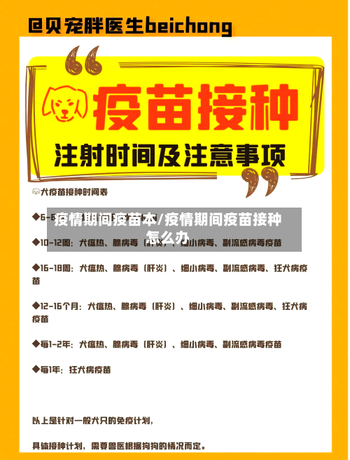 疫情期间疫苗本/疫情期间疫苗接种怎么办