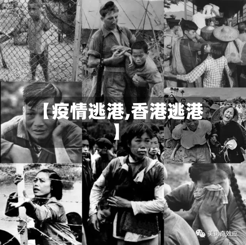 【疫情逃港,香港逃港】