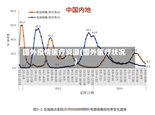 国外疫情医疗资源(国外医疗状况)-第2张图片
