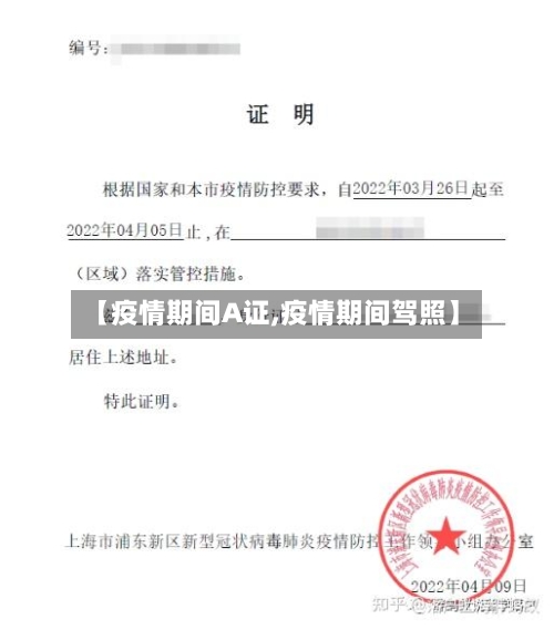 【疫情期间A证,疫情期间驾照】-第3张图片