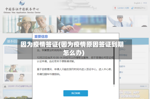 因为疫情签证(因为疫情原因签证到期怎么办)-第3张图片