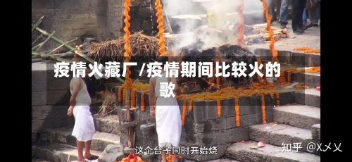 疫情火藏厂/疫情期间比较火的歌-第3张图片