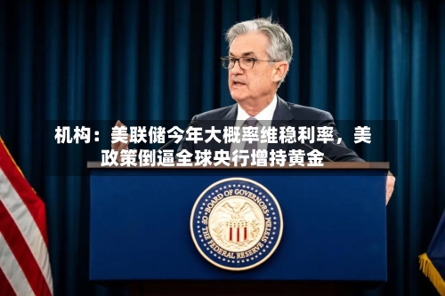 机构：美联储今年大概率维稳利率	，美政策倒逼全球央行增持黄金-第3张图片