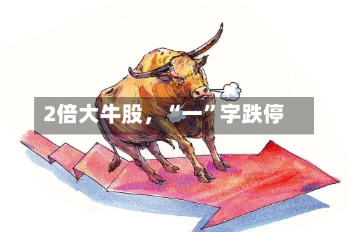 2倍大牛股	，“一”字跌停-第3张图片