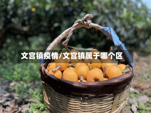 文宫镇疫情/文宫镇属于哪个区
