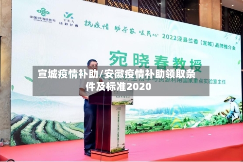 宣城疫情补助/安徽疫情补助领取条件及标准2020-第2张图片