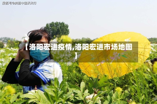 【洛阳宏进疫情,洛阳宏进市场地图】