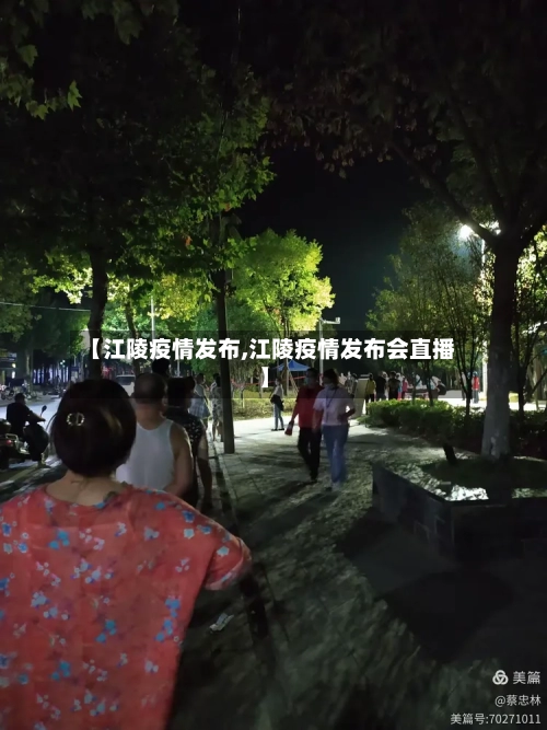 【江陵疫情发布,江陵疫情发布会直播】-第3张图片
