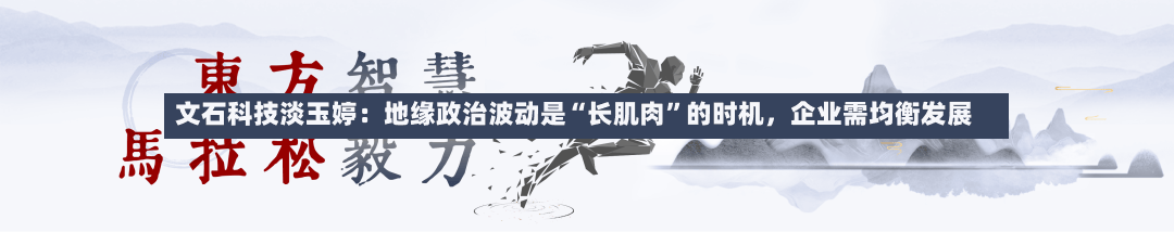 文石科技淡玉婷：地缘政治波动是“长肌肉	”的时机，企业需均衡发展-第3张图片