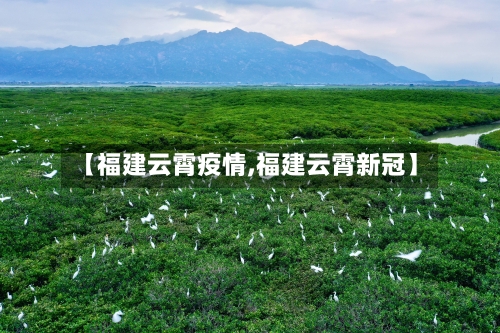 【福建云霄疫情,福建云霄新冠】-第2张图片