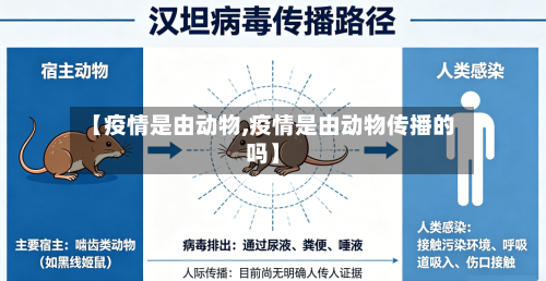 【疫情是由动物,疫情是由动物传播的吗】-第2张图片