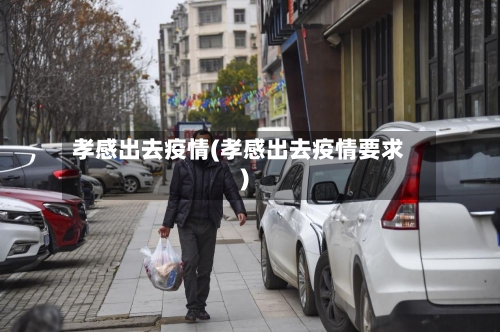 孝感出去疫情(孝感出去疫情要求)-第2张图片