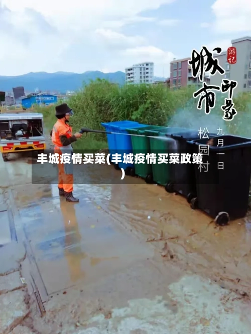 丰城疫情买菜(丰城疫情买菜政策)