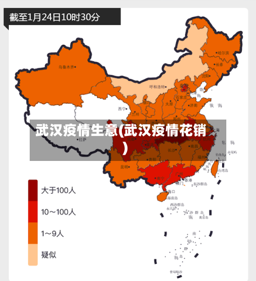 武汉疫情生意(武汉疫情花销)-第3张图片