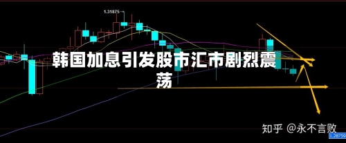 韩国加息引发股市汇市剧烈震荡-第3张图片