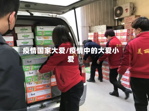 疫情国家大爱/疫情中的大爱小爱
