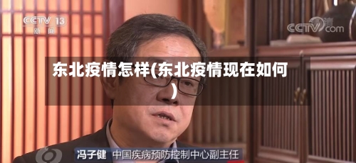 东北疫情怎样(东北疫情现在如何)-第3张图片