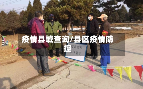 疫情县城查询/县区疫情防控-第2张图片