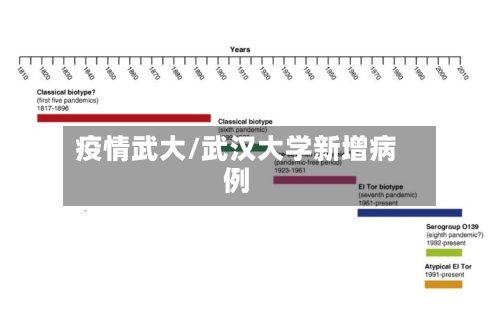 疫情武大/武汉大学新增病例