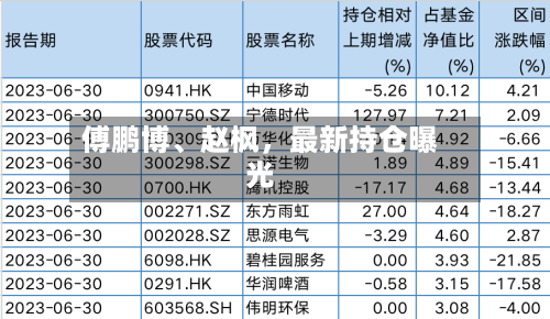 傅鹏博	、赵枫	，最新持仓曝光-第2张图片
