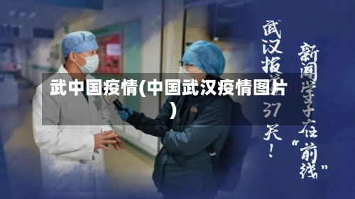 武中国疫情(中国武汉疫情图片)-第2张图片