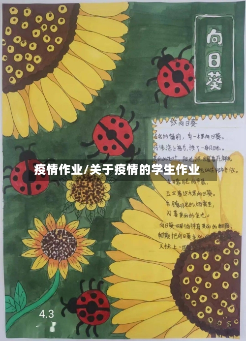 疫情作业/关于疫情的学生作业