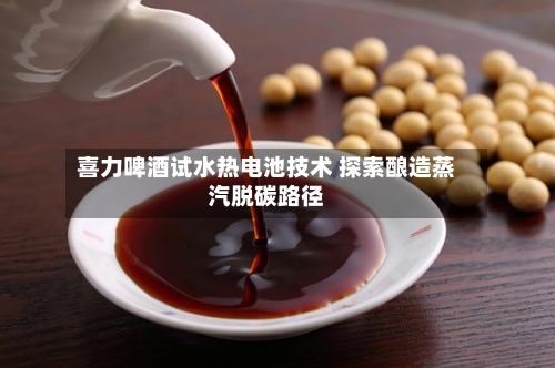 喜力啤酒试水热电池技术 探索酿造蒸汽脱碳路径-第2张图片