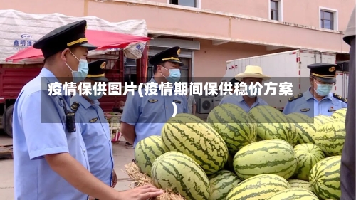 疫情保供图片(疫情期间保供稳价方案)