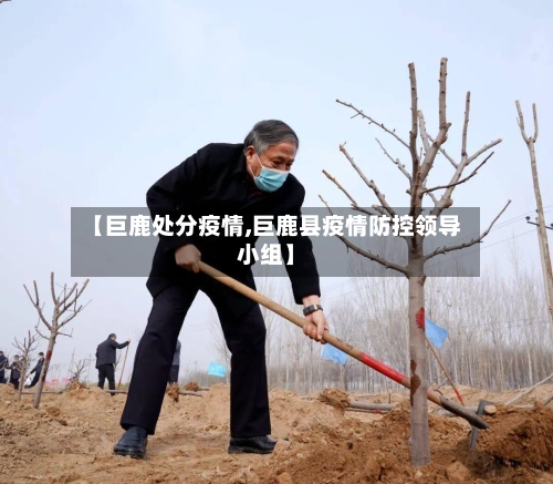 【巨鹿处分疫情,巨鹿县疫情防控领导小组】-第2张图片