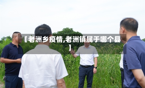 【老洲乡疫情,老洲镇属于哪个县】
