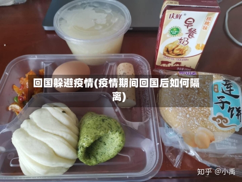 回国躲避疫情(疫情期间回国后如何隔离)