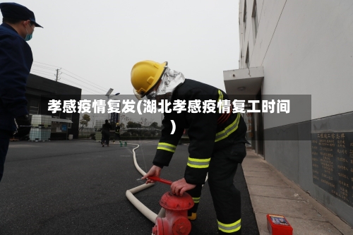 孝感疫情复发(湖北孝感疫情复工时间)-第3张图片