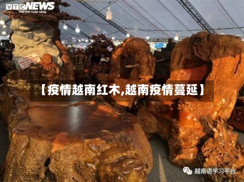 【疫情越南红木,越南疫情蔓延】-第2张图片