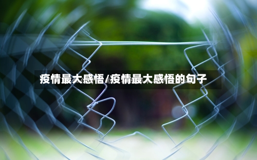 疫情最大感悟/疫情最大感悟的句子