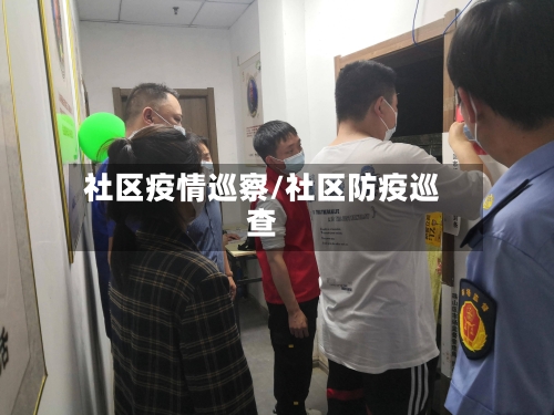社区疫情巡察/社区防疫巡查