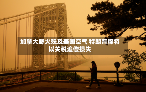加拿大野火殃及美国空气 特朗普称将以关税追偿损失