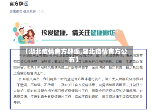 【湖北疫情官方辟谣,湖北疫情官方公布】-第3张图片