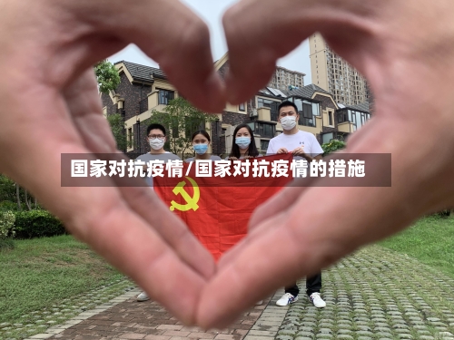 国家对抗疫情/国家对抗疫情的措施