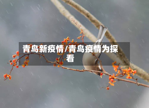 青鸟新疫情/青鸟疫情为探看-第3张图片
