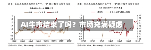 AI牛市结束了吗？市场充满疑虑