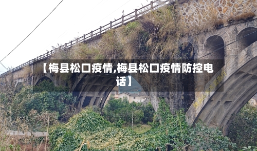 【梅县松口疫情,梅县松口疫情防控电话】-第2张图片