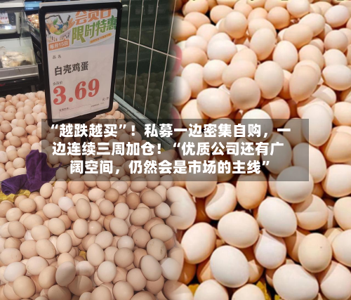 “越跌越买”！私募一边密集自购	，一边连续三周加仓！“优质公司还有广阔空间，仍然会是市场的主线”-第2张图片