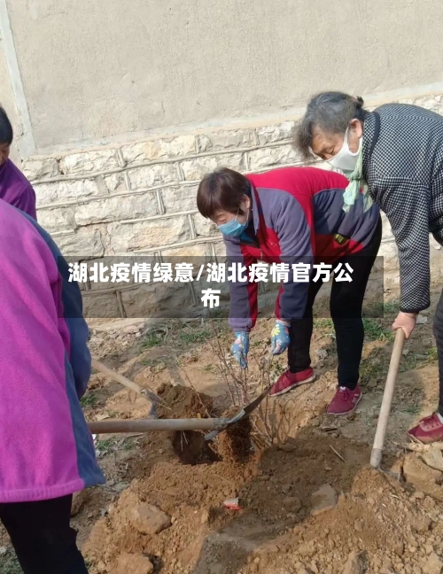 湖北疫情绿意/湖北疫情官方公布
